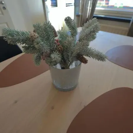 Lapland 3-bedroom - In Heart Of Center Apartment